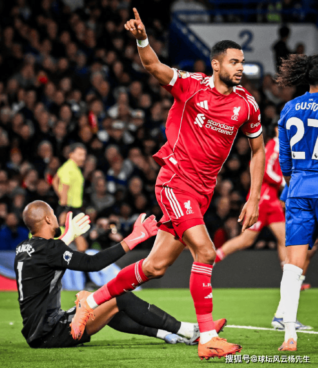 英超倒计时，纽卡斯尔窗口期绝杀压哨，细节引发关注，赛场秩序良好，纪律约束更严格的简单介绍